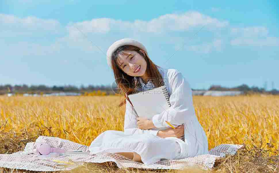 小偷程序 镜像站群